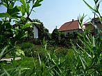 Třibřichy
